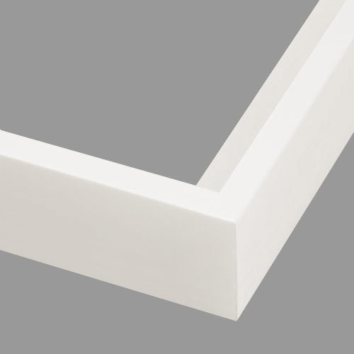 CFL9 - CFL9 - Large Canvas Floater - White